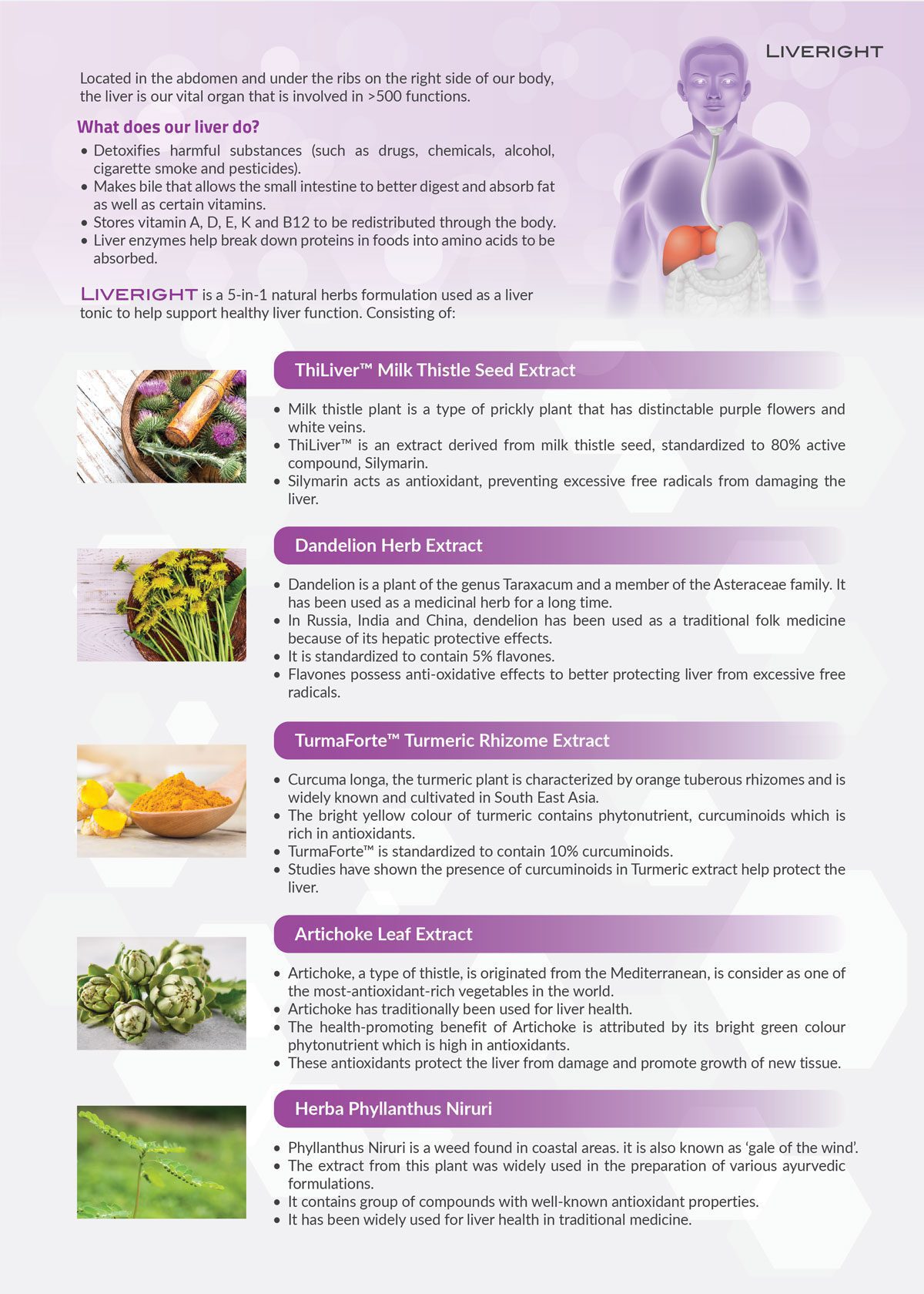 LIVERIGHT_PHARMORIX_INFO-2